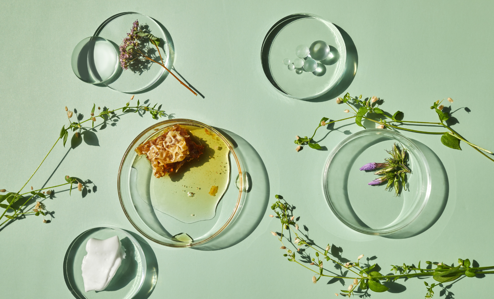 The Power of Clean Beauty: Why Natural Skincare is Worth It – House of ...