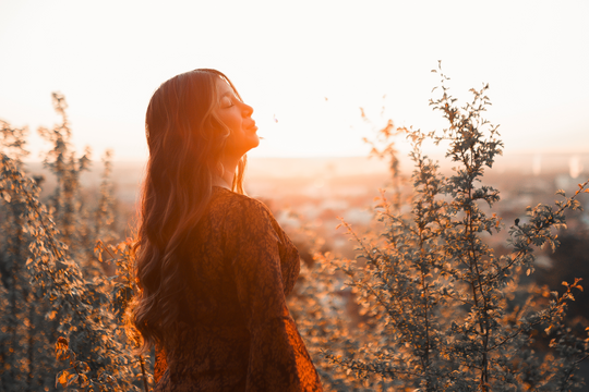 Shedding What No Longer Serves: A Solstice Journal Practice