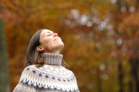 The Gratitude Shift: How Thankfulness Transforms the Mind