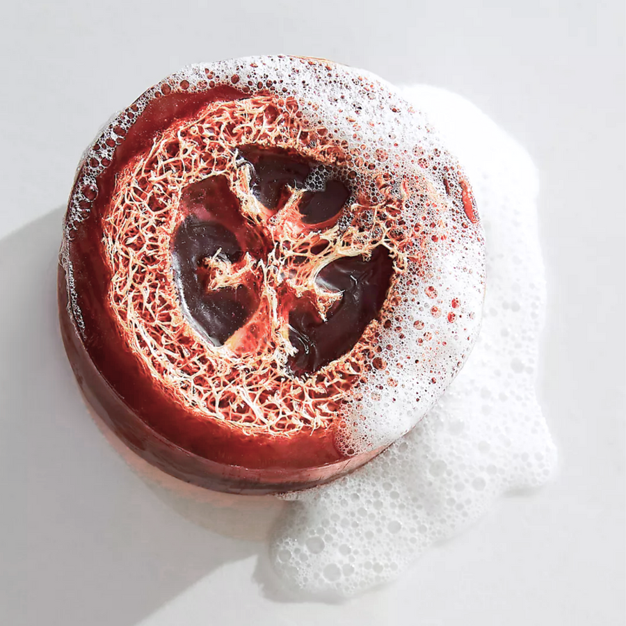 Citrus Exfoliating Loofah Soap