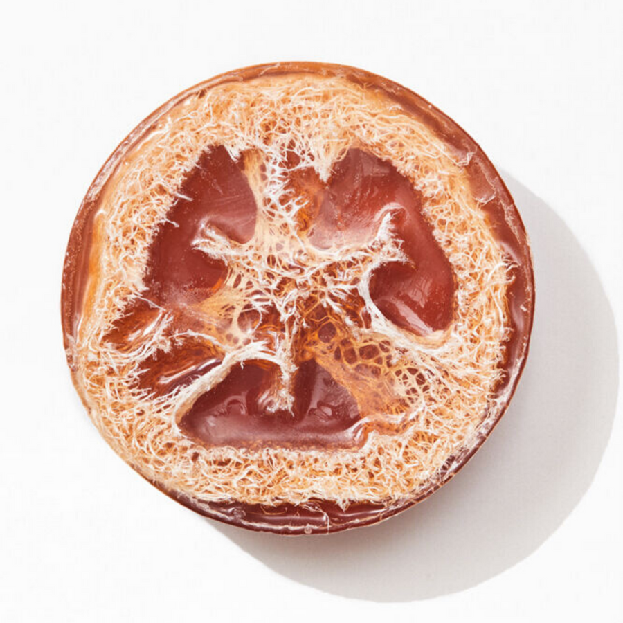 Citrus Exfoliating Loofah Soap
